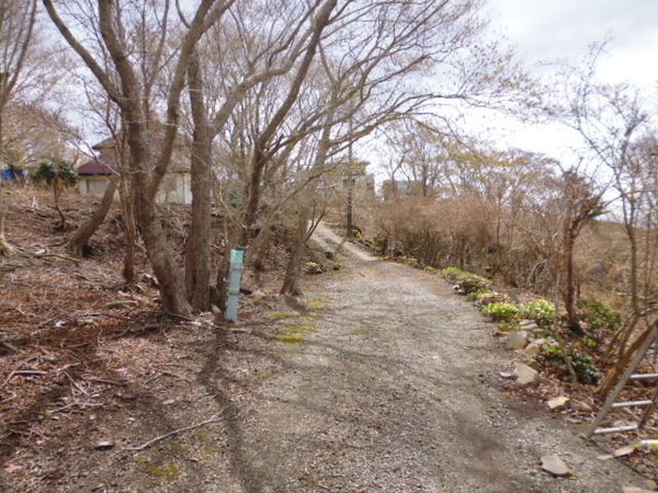 東伊豆町　『天城ハイランド』別荘地　土地 その他