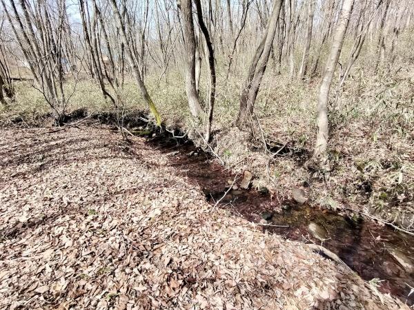 栃木県那須郡那須町高久丙 その他