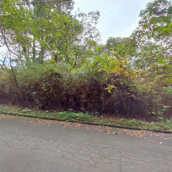 栃木県那須郡那須町高久丙 現地写真