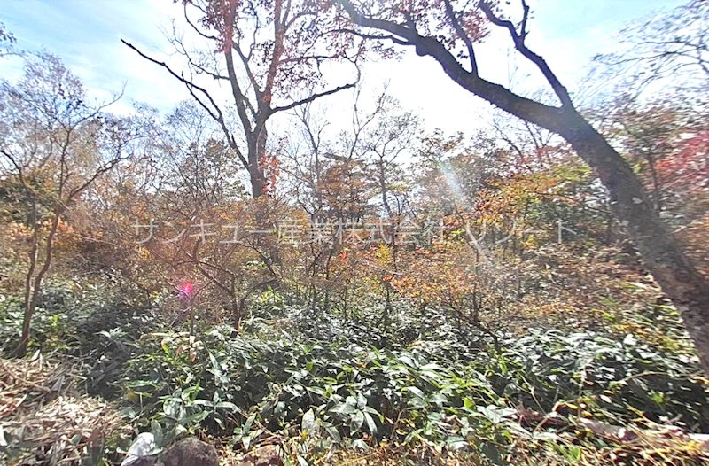 栃木県那須郡那須町高久乙 その他