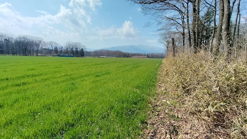 栃木県那須塩原市青木 眺望写真