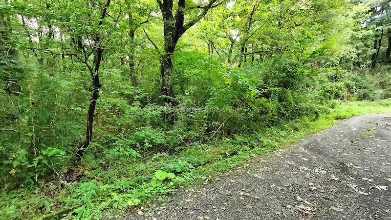 栃木県那須郡那須町湯本 現地写真
