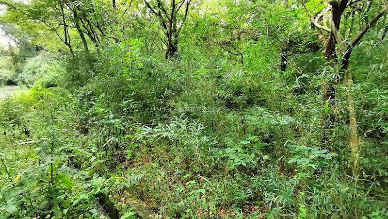 栃木県那須郡那須町湯本 その他