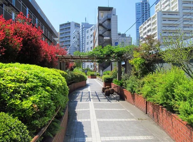 ヴィンテージ中野 公園