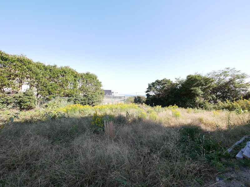 東大沼町４丁目５１３番２ 眺望写真