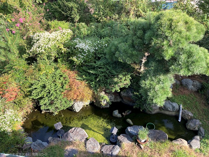 白銀町２丁目５０８番 現地写真（庭）