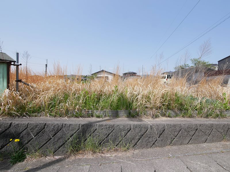 折笠町１丁目３５９番 現地写真