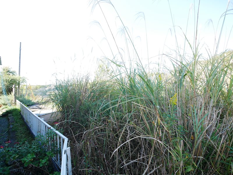 常陸太田市大森町字西畑１４２７番１３２ 現地写真
