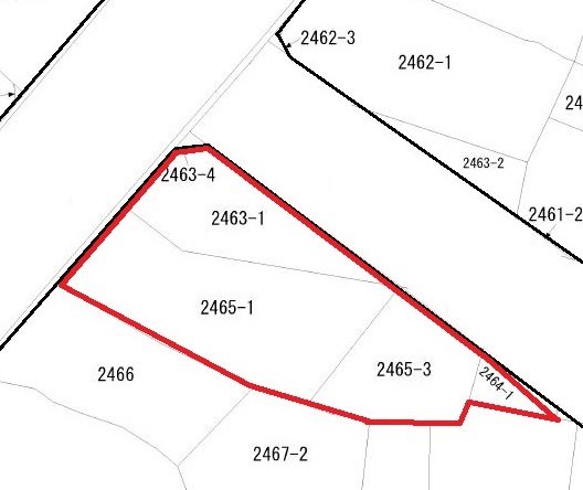 大和田町字東宿２４６３番１、２４６４番１他 間取図・土地図