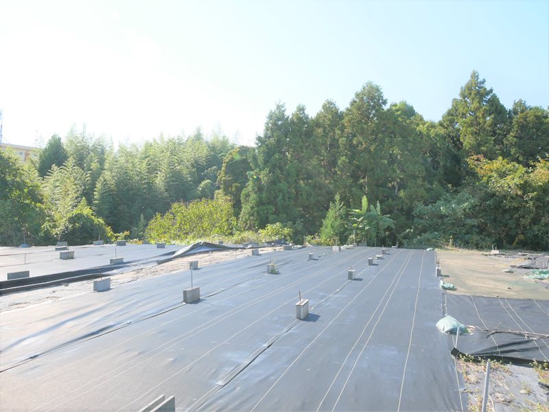 中成沢町４丁目４６番１  現地写真