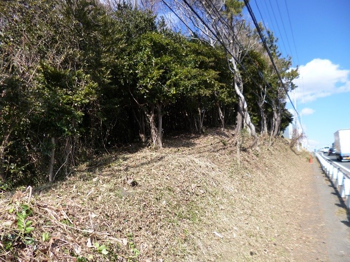 東大沼町１丁目３４９番  現地写真