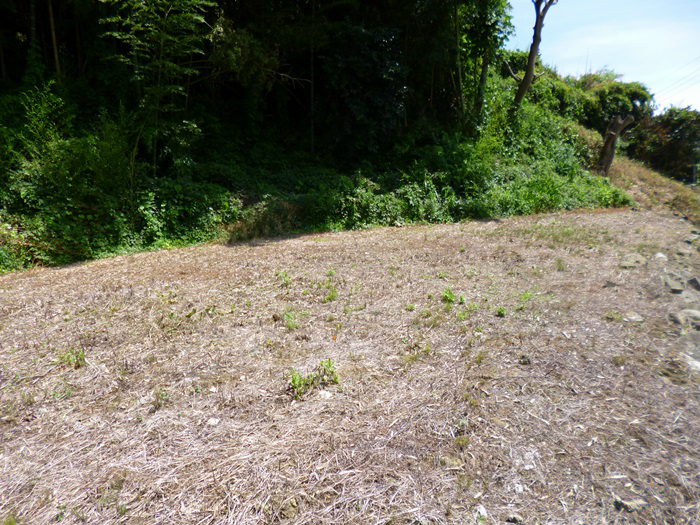 久慈町４丁目２８０番６  現地写真