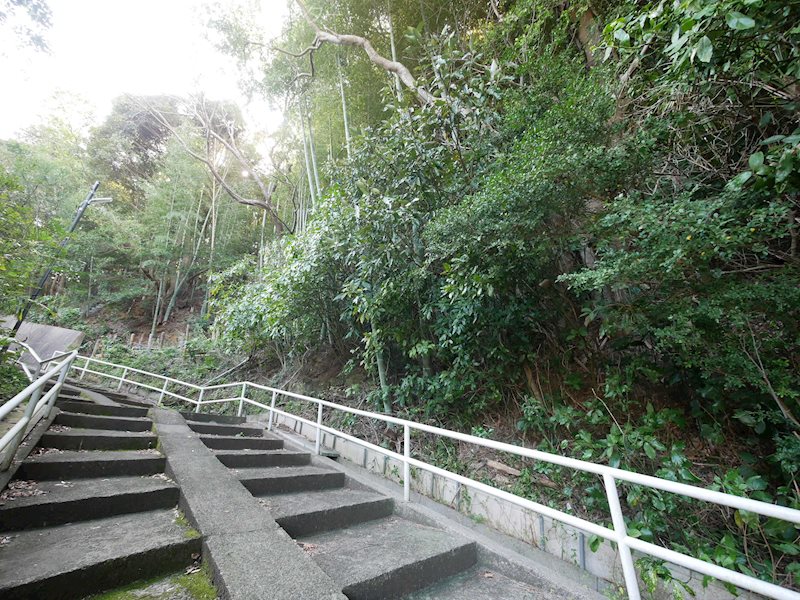 久慈町４丁目２８１番１  現地写真