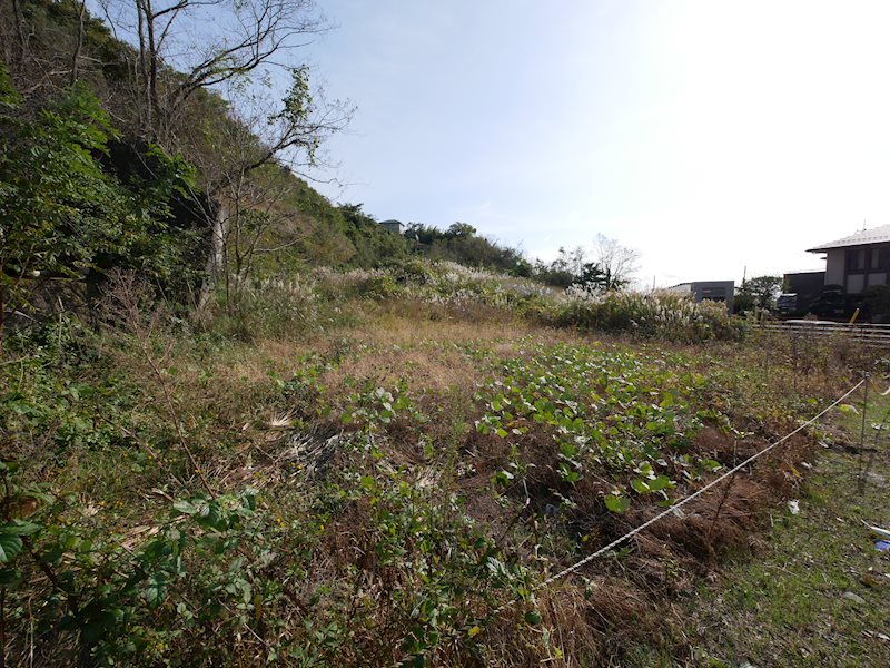 南高野町３丁目４００番１  現地写真