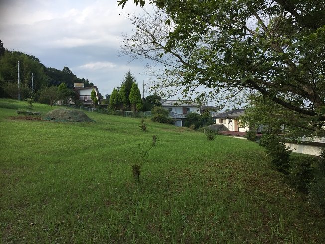 城南町５丁目53番  その他