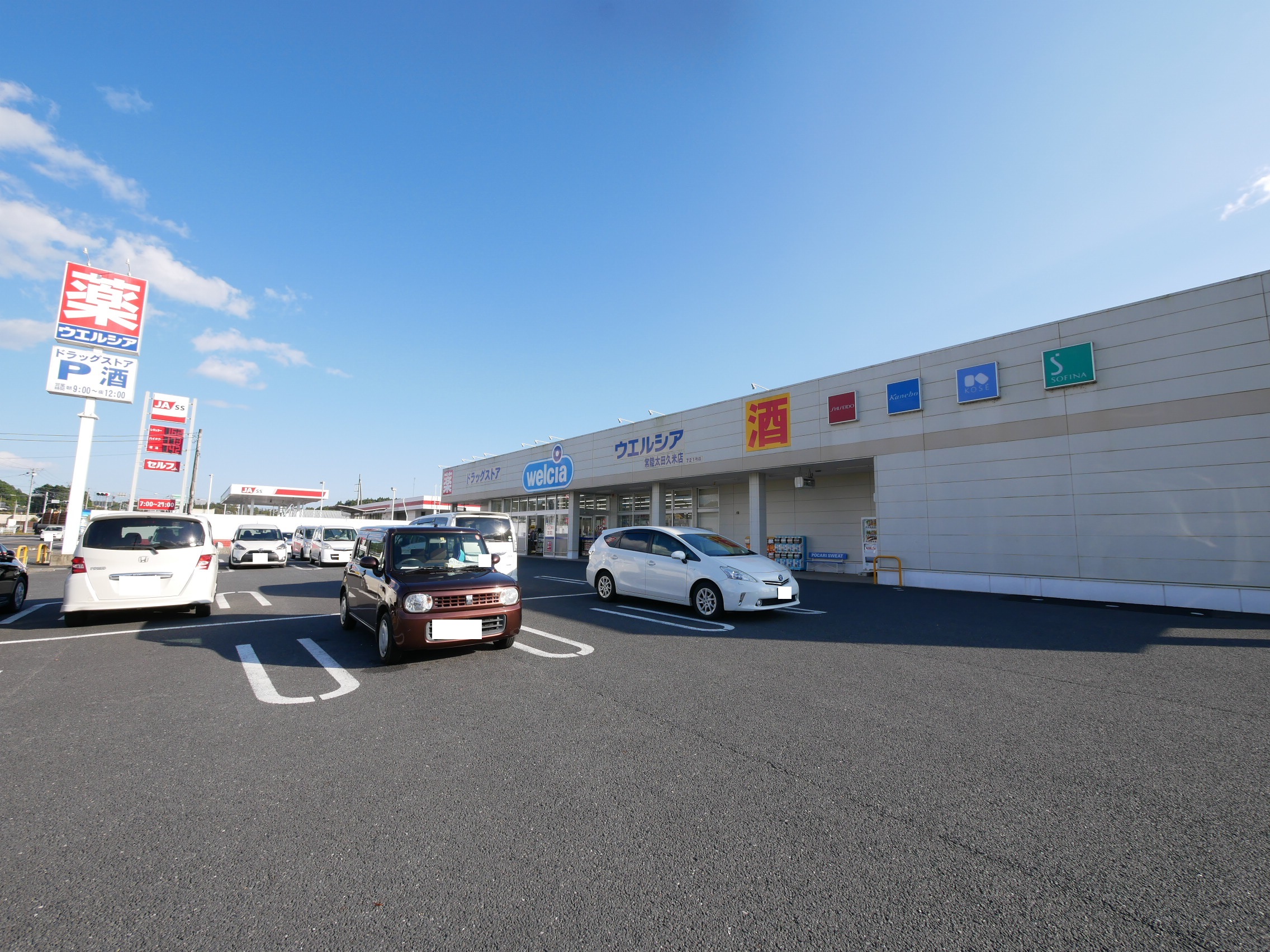 常陸太田市薬谷町２９５番４  ドラッグストア