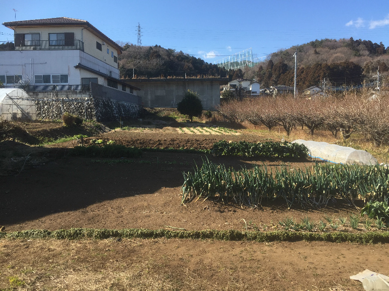 森山町４丁目５０番  眺望写真