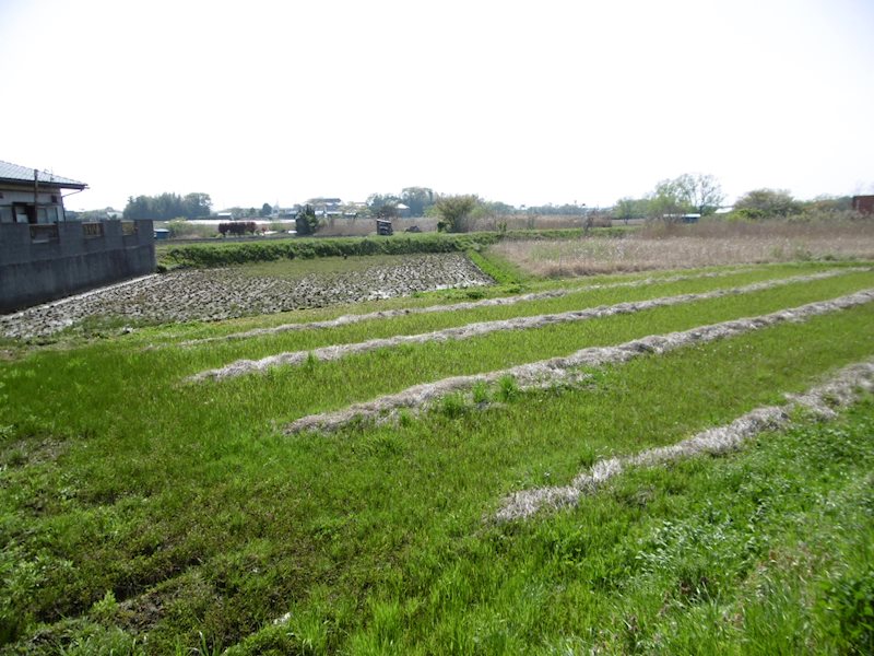 石名坂町１丁目７４７番地  現地写真