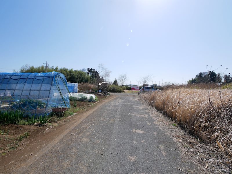 那珂郡東海村大字船場字後山７１６番１９  現地写真（前面道路含む現地写真）