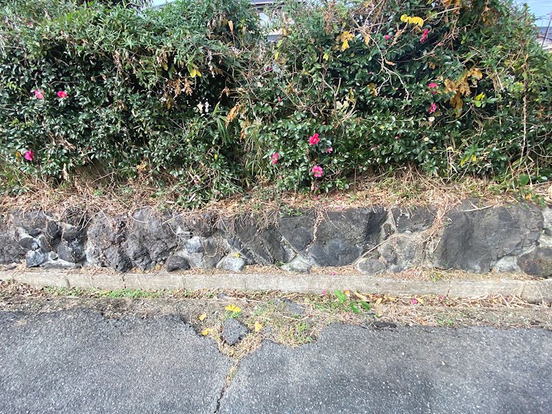 高萩市大字高萩字駒木原８１９番７８、８１９番８６  現地写真