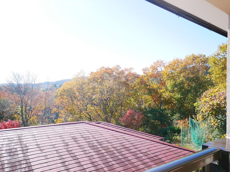 西成沢町４丁目３０７番他  眺望写真