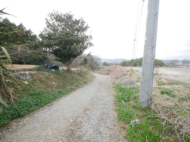 東滑川町４丁目2415番1、2416番、2417番1、2417番3 現地写真（前面道路含む現地写真）