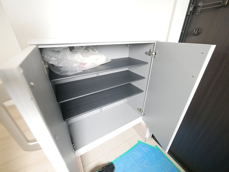 東大沼町２丁目　新築建売　２号棟 内観写真（収納）