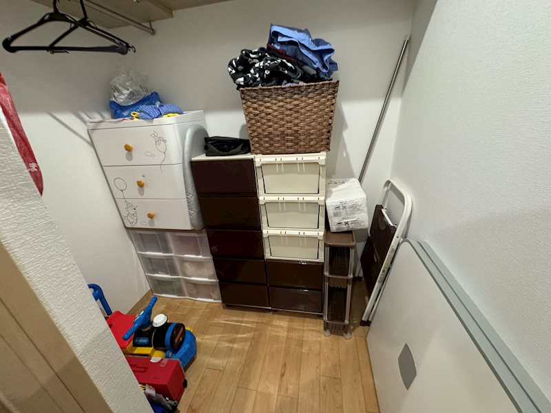 南高野町２丁目２９６番１ 内観写真（収納）