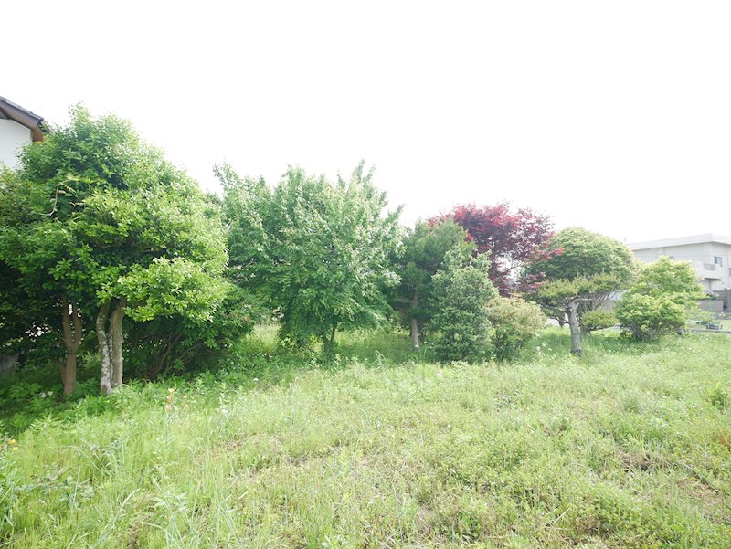 大みか町１丁目１２３番他 現地写真