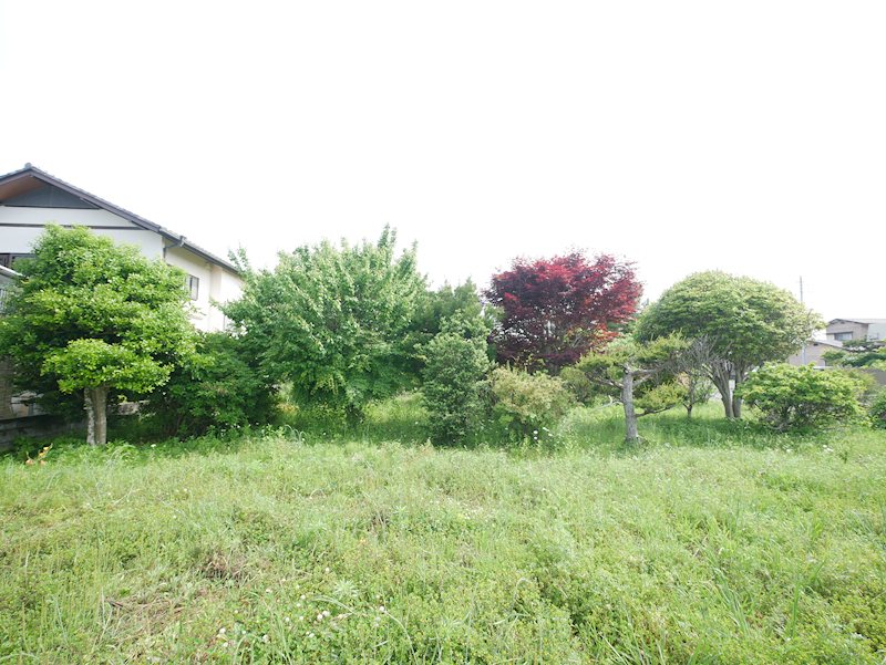 大みか町１丁目１２３番他 現地写真