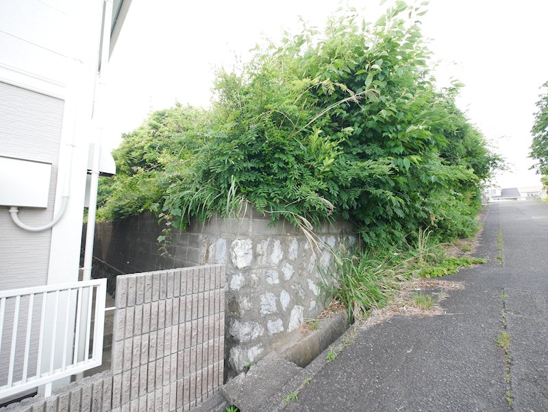 大みか町３丁目５２番 現地写真