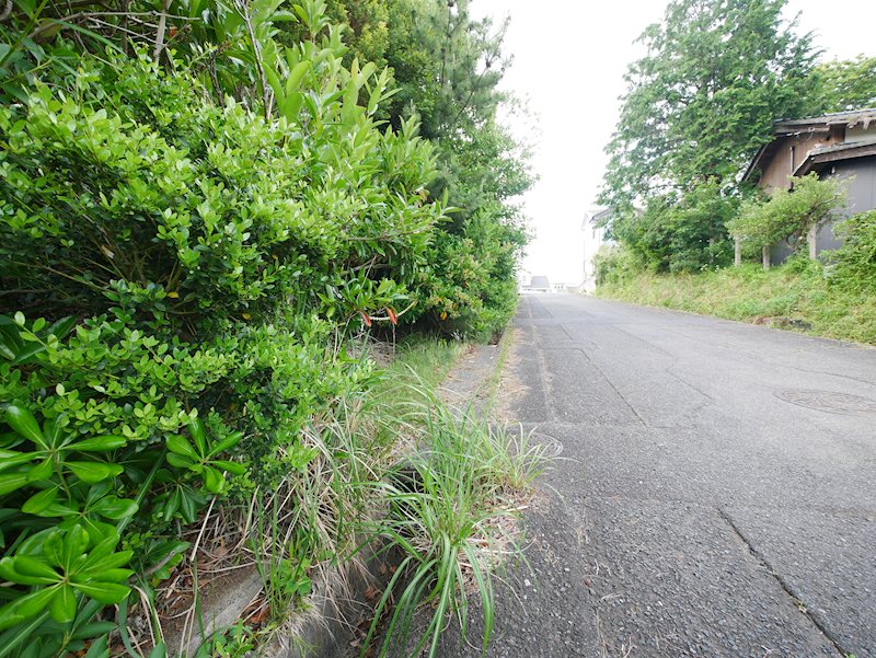 大みか町３丁目５２番 現地写真