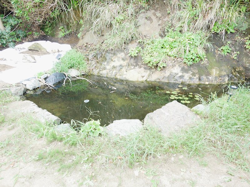 茨城県日立市旭町３丁目１２３番１ 現地写真
