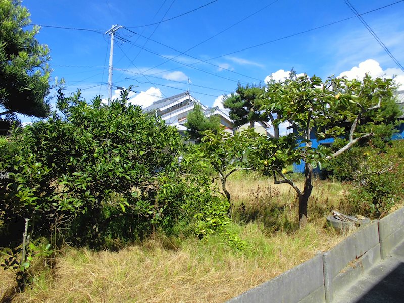 雄踏町宇布見売土地 その他