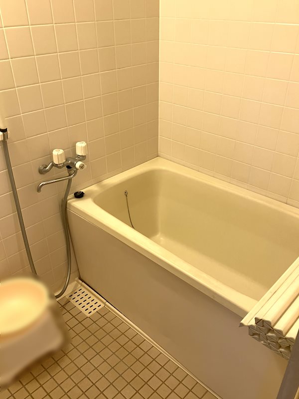 ダイアパレスピュアステージ新前橋　中古マンション 内観写真（浴室）