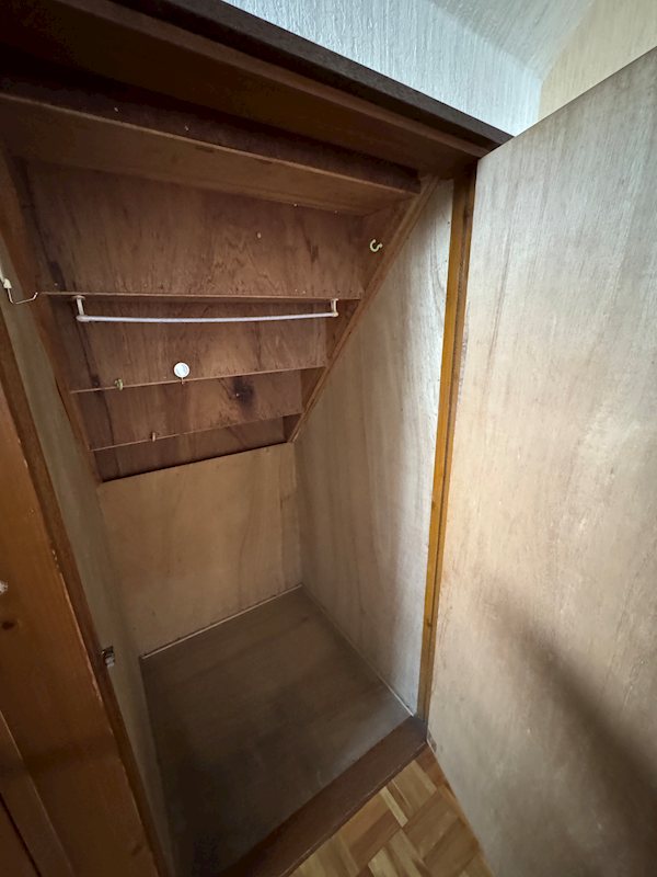 前橋市三俣町 中古住宅 内観写真（収納）