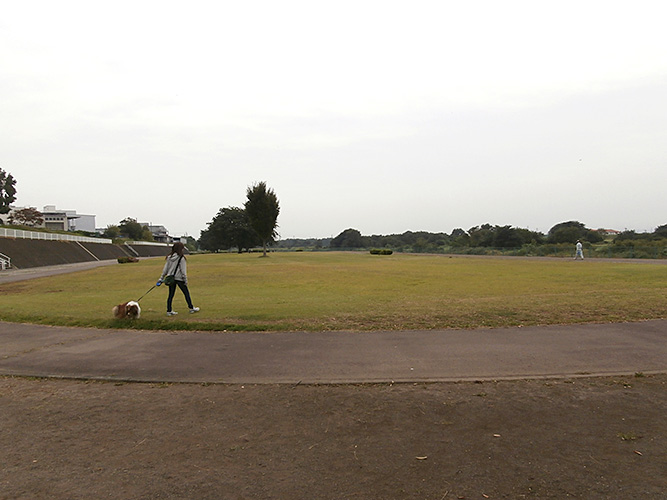 高崎市倉賀野町　土地 公園