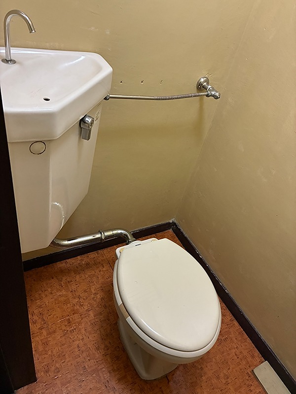 シヤンボール日東プラザ　中古マンション 内観写真（トイレ）