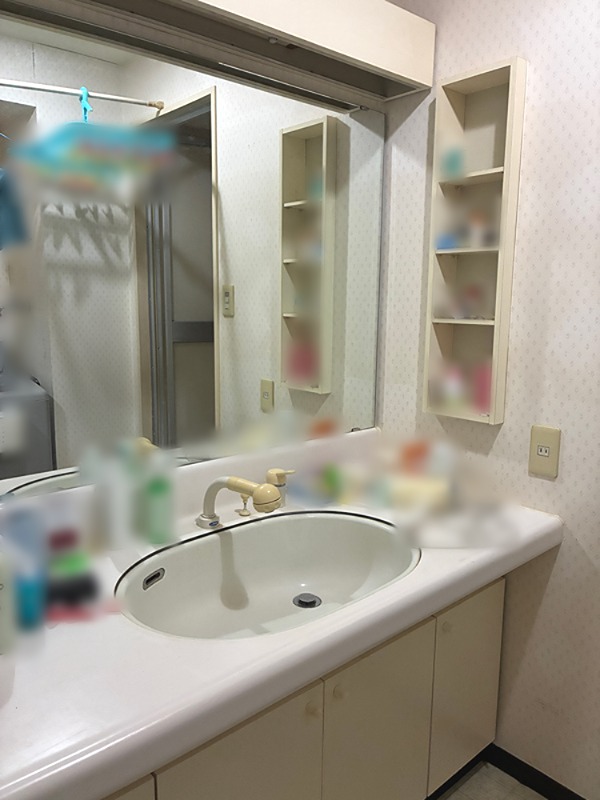 ダイアパレス高崎観音山　中古マンション 内観写真（洗面台・洗面所）