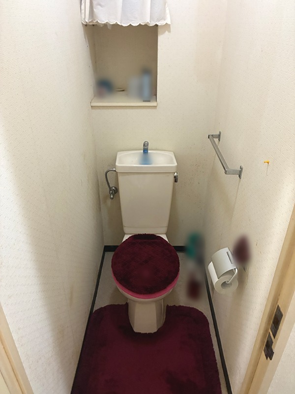 ダイアパレス高崎観音山　中古マンション 内観写真（トイレ）