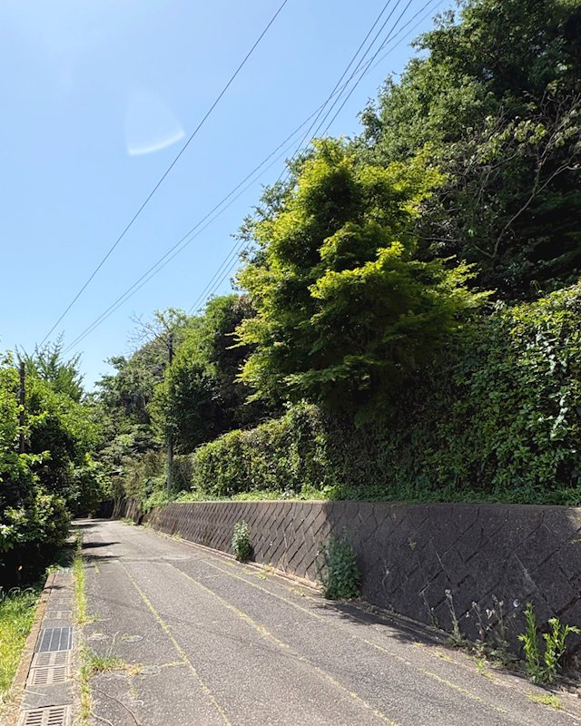 高崎市石原町　土地 現地写真（前面道路含む現地写真）