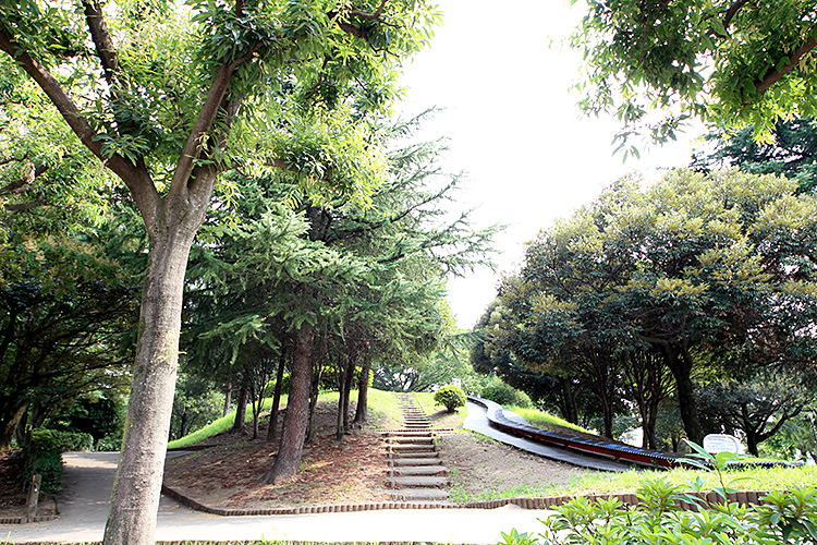 高崎市飯塚町　中古住宅  公園