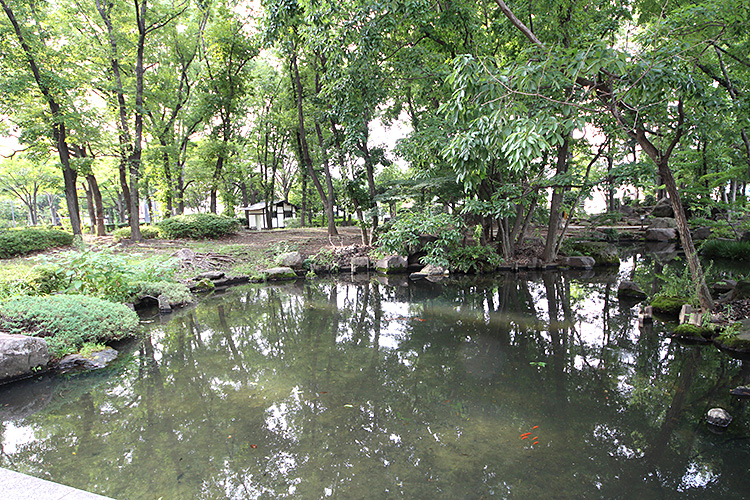 前橋市南町1丁目　土地 公園
