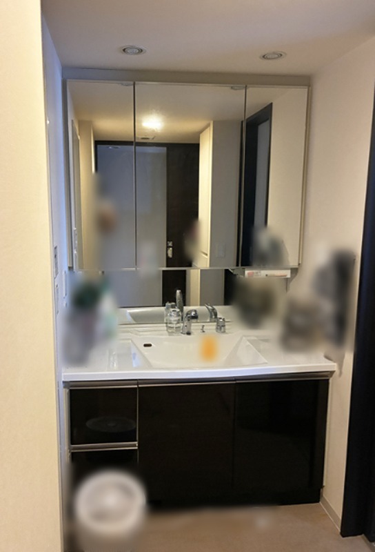 レーベンリヴァーレ高崎グレイス　中古マンション  内観写真（洗面台・洗面所）