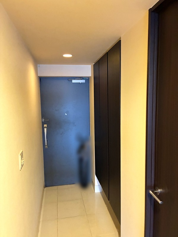 レーベンリヴァーレ高崎グレイス　中古マンション  現地写真（玄関）