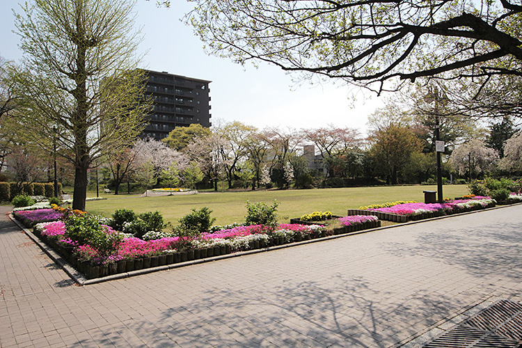 レーベンリヴァーレ高崎グレイス　中古マンション  公園
