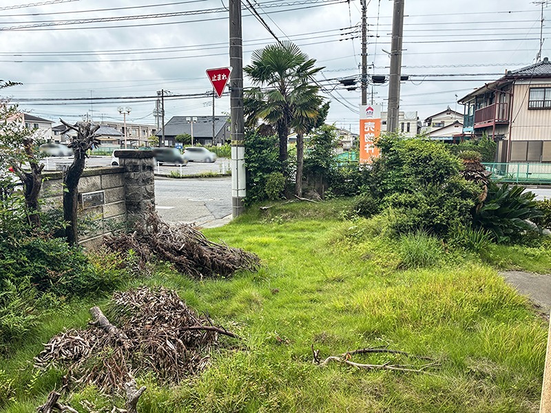 邑楽郡邑楽町新中野　店舗兼住宅 現地写真（庭）