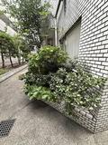東京都大田区矢口３丁目 その他