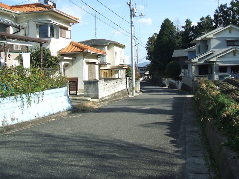 西条市飯岡 その他