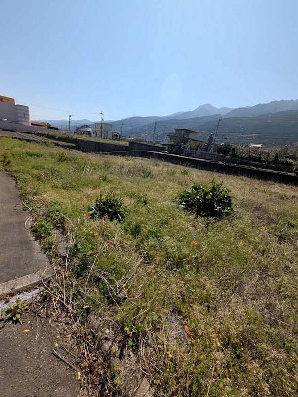 土居町津根　土地 その他